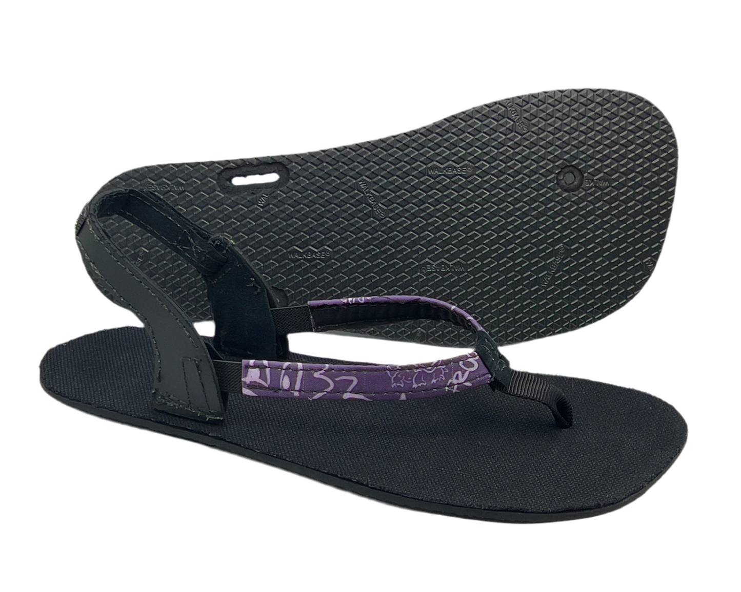 OSEM Limited Edition: Horned Frog