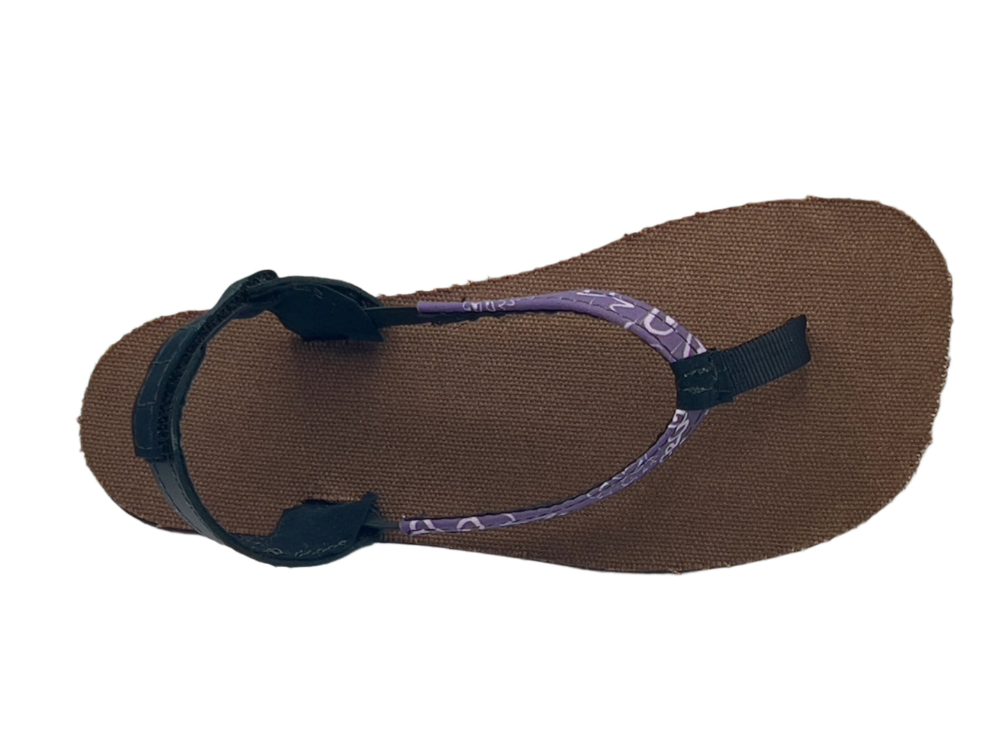 OSEM Limited Edition: Horned Frog