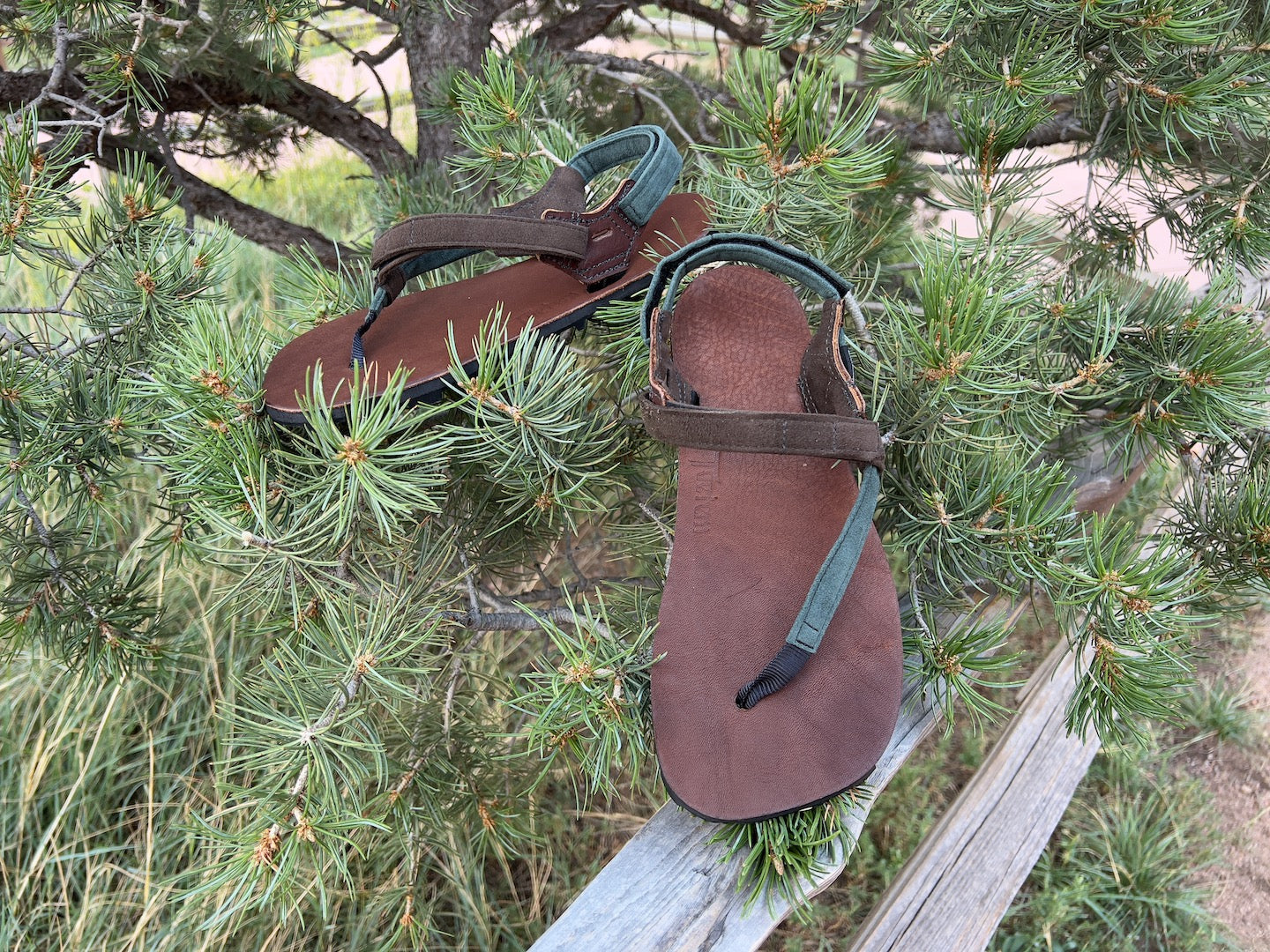 ALPHA Frontier Sandals - Organic Waterproof Leather